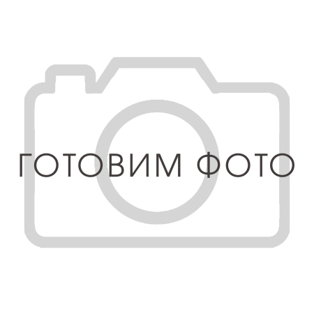 4093100200 Патрон воздушного фильтра